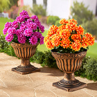 Dahlien-Bouquet orange