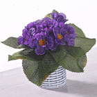 Kunstblume Usambara-Veilchen lila, Casa Bonita