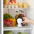 Kühlschrank-Deo "PinguFresh"