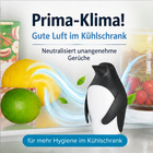 Kühlschrank-Deo "Pinguin"