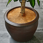 Pflanzenschutz-Kokosmatte, Ø 40 cm Grainsborough
