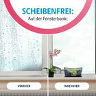 Wiederverwendbarer Auto-Entfeuchter mit Sättigungsanzeige, Victor Tools