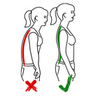 Rückenstützgürtel Standard