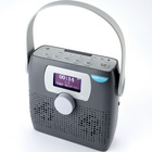 Mobiler Radio-/CD-Player Bergström
