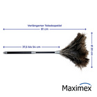 Maximex Staub-Magnet mit verlängerbarem Teleskopstiel, Schwarz, ideal für schwer erreichbare Stellen
