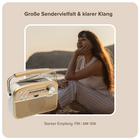 Design Solar Radio mit Bluetooth Bergström