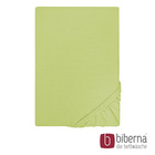 Castell Jersey-Stretch-Spannbetttuch pistaziengrün, 1x 180-200 x 200 cm