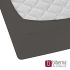 biberna Jersey-Elastic-Boxspring-Spannbetttuch dunkelgrau, 1x 180x200 cm - 200x220 cm