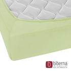 biberna Feinjersey-Spannbetttuch pistaziengrün, 1x 180x200 cm - 200x200 cm