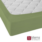 biberna Jersey-Elastic-Spannbetttuch fichte, 1x 180x200 cm - 200x220 cm