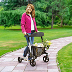 Rollator schwarz silberfarben