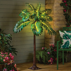 SOLAR-Palme