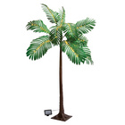 SOLAR-Palme