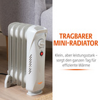 Tragbarer Mini-Radiator Bergström
