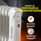 Tragbarer Mini-Radiator Bergström