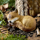 Herbstdeko Gartenfigur Fuchsbaby schlafend Gainsborough