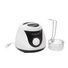 Kompakte Fritteuse 1l