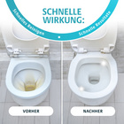 Schäumender WC-Reiniger Clarsen