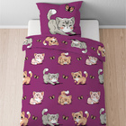 Castell Mikrofaser Bettwäsche Katze rost, 1x 135x200 cm + 1x 80x80 cm
