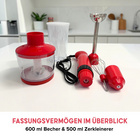 Stabmixer-Set "BlendXpress" 4-in-1