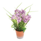 Agapanthus Kunstpflanze