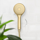 Handbrause „Watersaving“ Gold matt WENKO