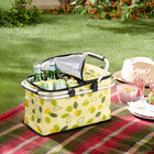 Picknickkorb isoliert & faltbar Basilico