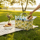 Picknickkorb isoliert & faltbar Basilico