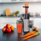 Genius Slow Juicer Mini, Set 9-tlg.