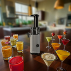 Genius Slow Juicer Mini, Set 9-tlg.
