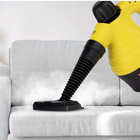 Dampfreiniger tragbar Alpina