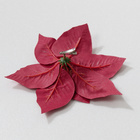 Weihnachtsstern-Clips 2er-Set