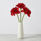 Dekozweig Amaryllis Eldo