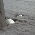 Hochflor-Teppich RABBIT 780 Rechteckig Paco Home