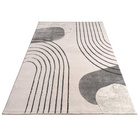 Kurzflor Teppich Tuana 216 Grau Paco Home