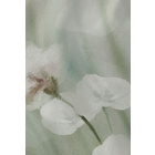 Feinbiber-Bettwäsche "Aquarellblumen" salbei biberna