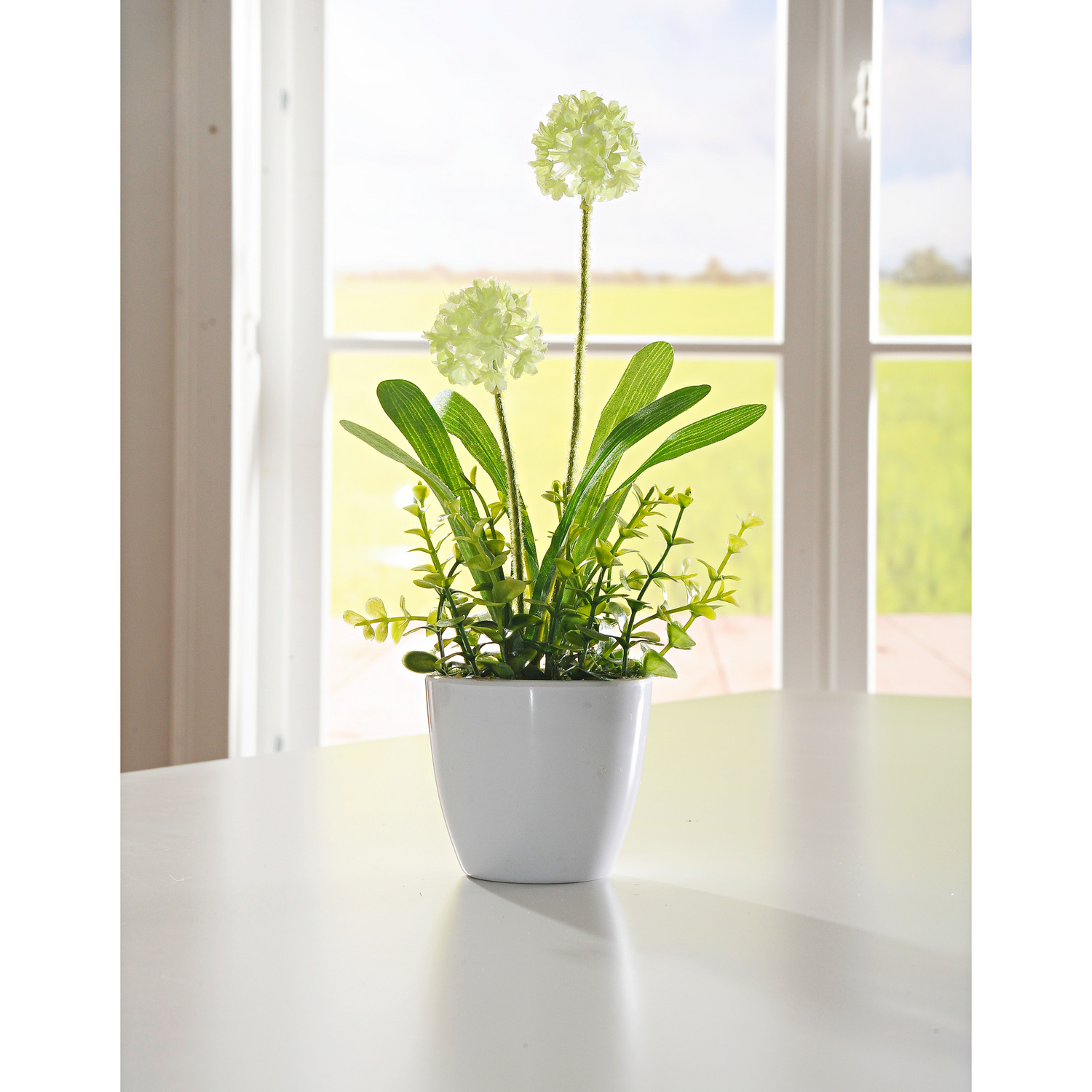 Topfblume "Allium" weiß, Artikelnummer 2550400